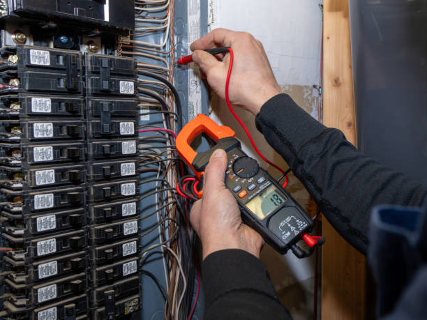 Best Local Electrician Companies  in Lely, FL